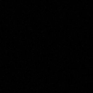 Meet your Posher, Brenna